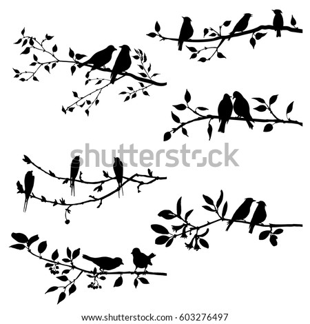 vector set of birds at trees silhouettes, hand drawn songbirds at branches, isolated vector elements