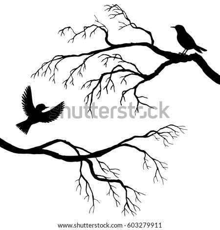 vector silhouettes of birds at tree, hand drawn songbirds at branch, isolated vector element