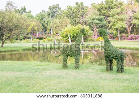 Bonsai, Dwarf tree, Bending as shape giraffe, located beside the swamp, for decorating the garden, Thailand.