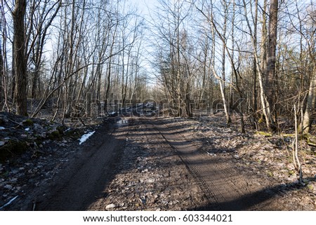 bad shaped country road in perspective in summer forest with trees and mud