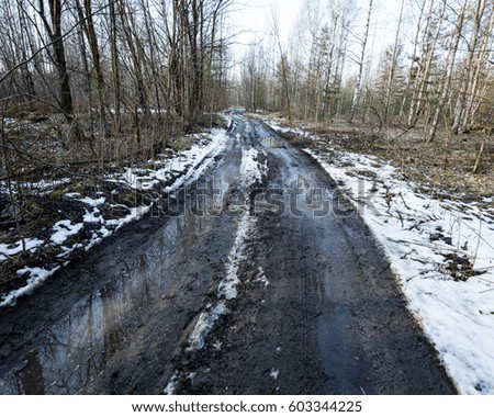 bad shaped country road in perspective in summer forest with trees and mud