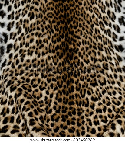 Leopard fur
