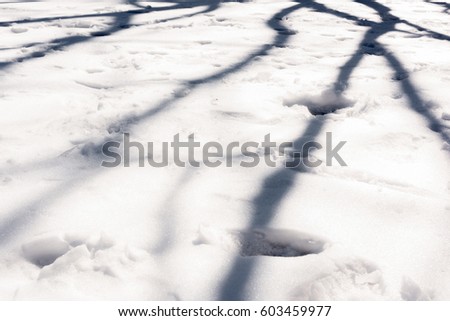 texture map / snowy ground with tree shadow