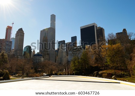 Centralpark new york skyline view
