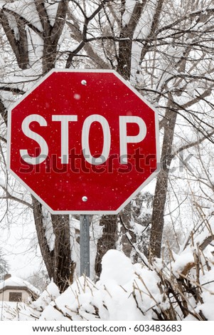 Red stop sign in the winter snow with bare tree