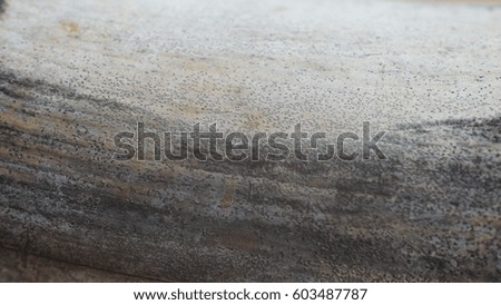 Bamboo texture, light gray, ink style, wood texture, oblique, background texture