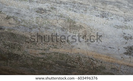 Bamboo texture, light gray, ink style, wood texture, oblique, dynamic, background texture