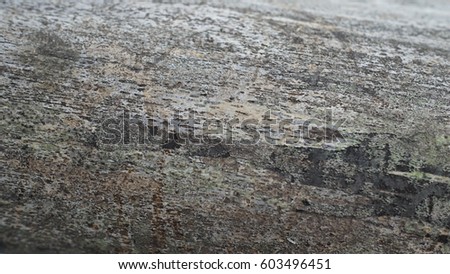 Bamboo texture, light gray, ink style, wood texture, oblique, dynamic, background texture