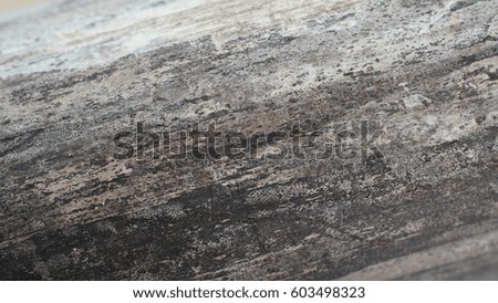 Bamboo texture, light gray, black, gradient, ink style, wood texture, oblique, dynamic, background texture
