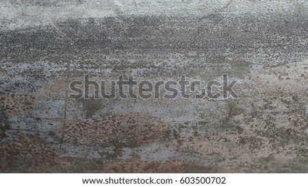 Bamboo texture, light gray, black, gradient, ink style, wood texture, landscape, background texture