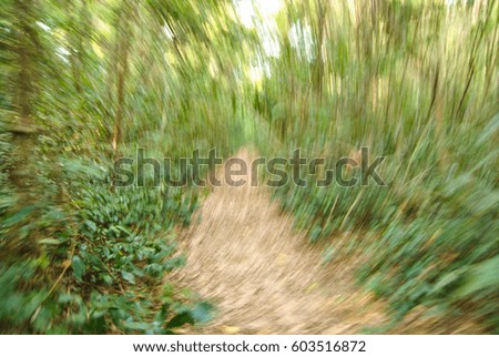 The path in the dense jungle. Shake and dizzy
