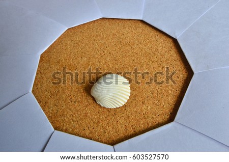 White shell on brown decagon in paper shutter