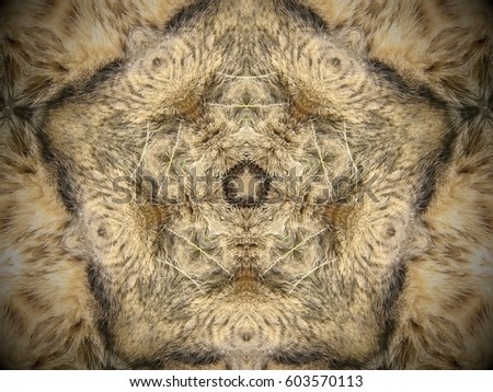 Green, beige, brown white and black. Abstract mandala. Fur. Five sided star shape.