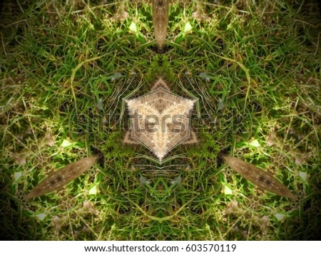 Green, beige, brown white and black. Abstract mandala. Fur. Three sided star inside triangle shape with asymmetrical hexagon.