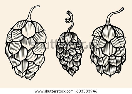 vector set of engraving illustration vegetables artichoke on baige background