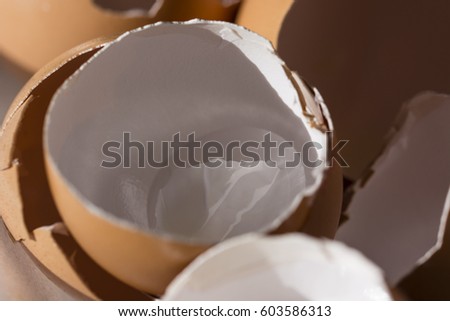 Dying eggs with shells from the inner membrane. Royalty-Free Stock Photo #603586313