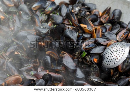 Creative background for advertising menu: Sea blue shells of mussels are cooked in large steam boiler. beautiful picture for an advertising menu of healthy dietary seafood dishes. Selective focus