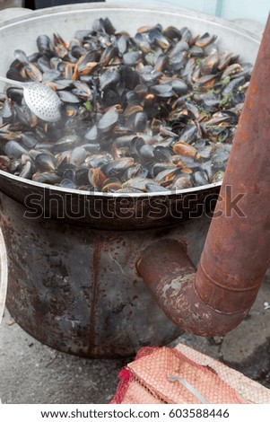 Creative background for advertising menu: Sea blue shells of mussels are cooked in large steam boiler. beautiful picture for an advertising menu of healthy dietary seafood dishes. Selective focus
