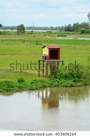 Small altar on the rice field in Mekong Delta, southern Vietnam.