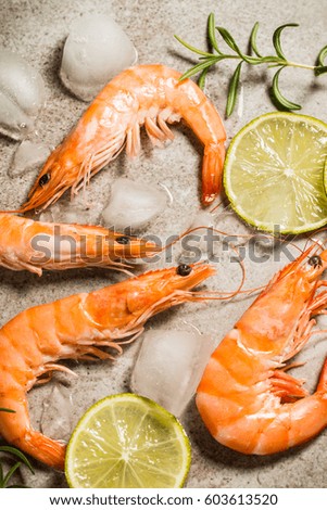 Tiger shrimps with lime, lemon, rosemary and black pepper spices on stone background. Fresh tasty prawns ready to be cooked.