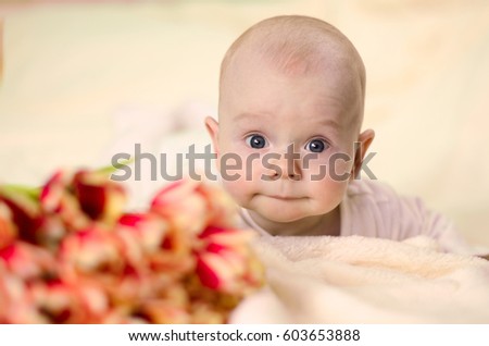 adorable baby sucking lips and lying on stomach near a bouquet of tulips, looking at camera