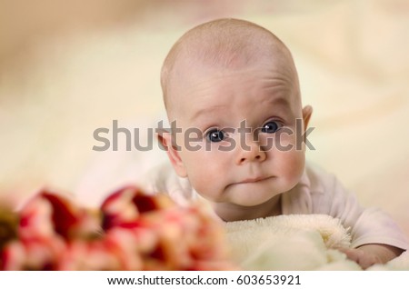 cute baby sucking lips and lying on stomach near a bouquet of tulips, looking at camera