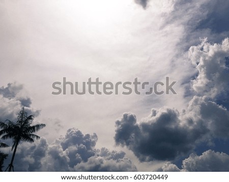 Coconut palm tree under blue sky background in Thailand.