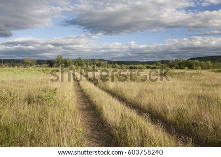 Field in Far East of Russia, summer, sunset, cloudy sky.