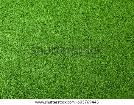 Green grass texture for background. Top view photo