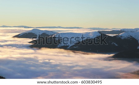 Beautiful view of foggy winter landscape.