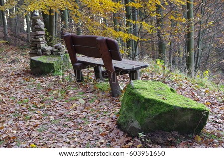 The bench in the forest