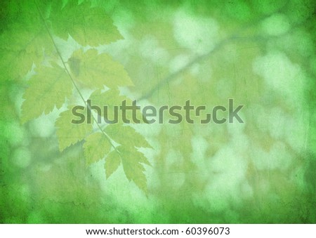 Grunge Leaves Background