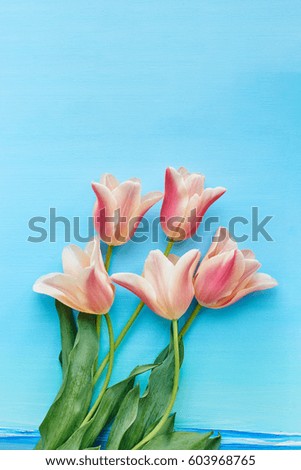 Tulips on blue background top view