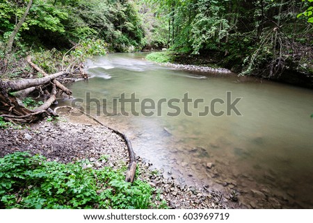 view to the mountain river in summer surrounded by forest and sandstone cliffs