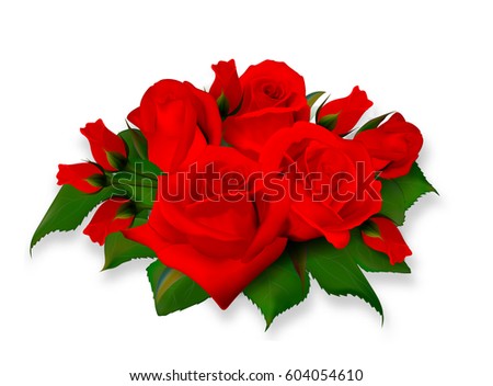 Roses bouquet. Tea-rose delicate bright red bouquet. Realistic rose. Not trace. Vector eps 10.