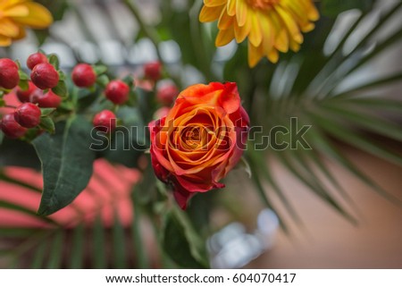 Colorful cut flowers 