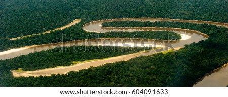 Air view of the Amazon part of the river Royalty-Free Stock Photo #604091633