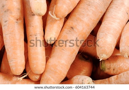 Carrot background.