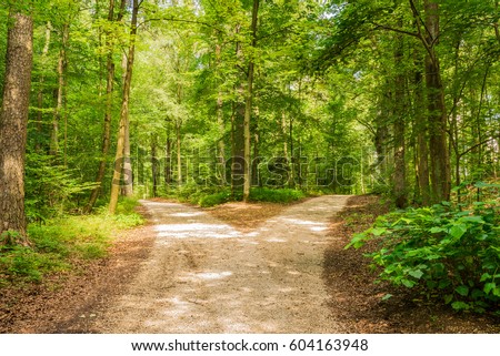Crossroads, two different directions, concept of choose the correct way. Royalty-Free Stock Photo #604163948