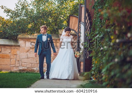 Bride and groom newlyweds walking and kiss each other near ivy wall