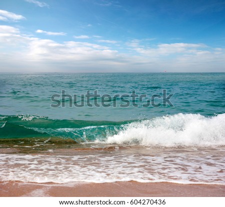 A beautiful ocean surface under a sunny skyline with a sandy beach