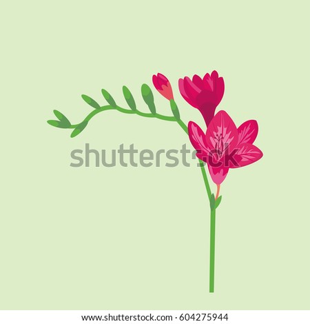 Flower summer natural plant vector illustration.