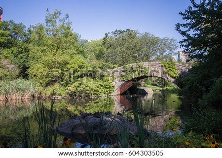 Gapstow bridge over the pond and plants at Central Park
