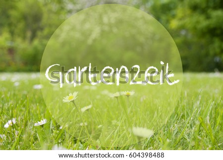 Gras Meadow, Daisy Flowers, Gartenzeit Means Garden Time