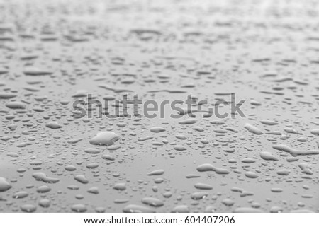 water drops black and white after rain,Water background