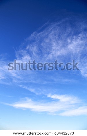 sunrise  in the colored sky white soft clouds and abstract background