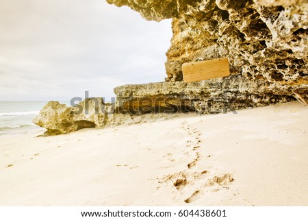 Empty hanging banner on the rock with wild beach background.