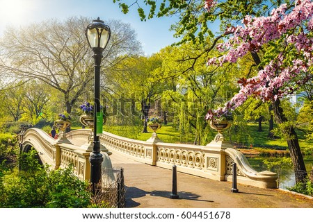 Bow bridge in Central park at spring sunny day, New York City Royalty-Free Stock Photo #604451678