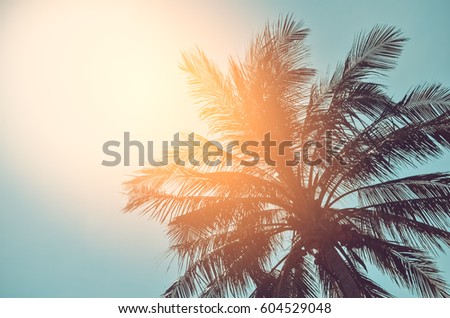 Copy space of silhouette tropical palm tree with sun light on sky abstract background. Summer vacation and nature travel adventure concept. Vintage tone filter effect color style.