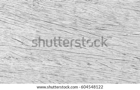 White wood floor texture background plank pattern surface pastel painted wall; gray board grain tabletop above oak timber